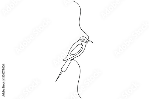 Bird couple continuous one line drawing minimalist outline vector illustration
