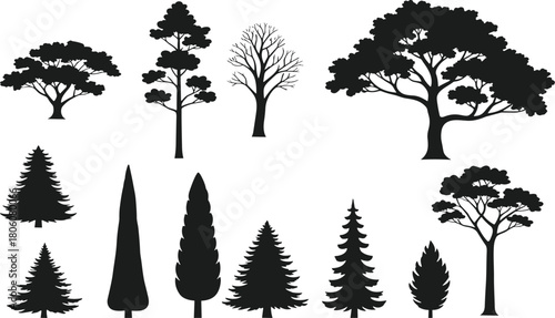 Black tree silhouette vector collection, deciduous oak illustration, coniferous pine forest design, woodland landscape artwork, nature botanical graphic, decorative element set