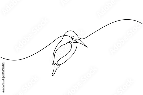 Bird couple continuous one line drawing minimalist outline vector illustration
