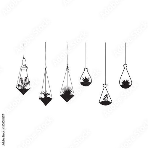 Hanging Terrarium Trio Silhouette modern botanical design.