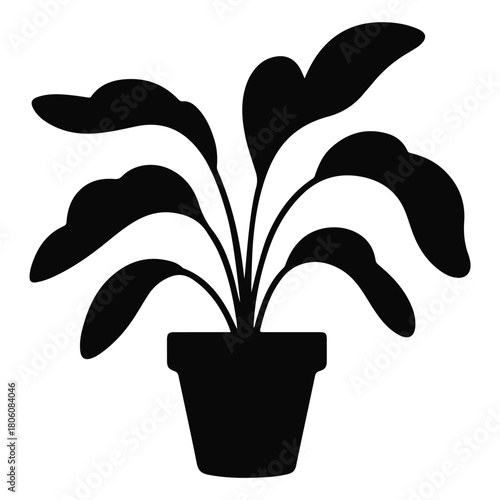 Silhouette of a potted plant with large leaves, isolated on white background, adding a touch of nature to any design project