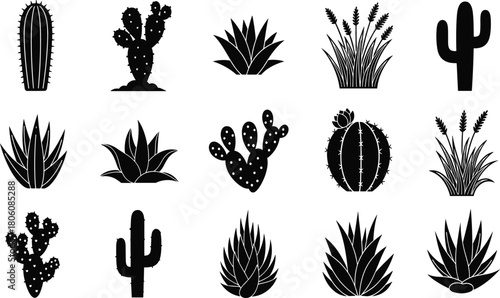 Cactus silhouette illustration, succulent plant vector, desert flora artwork, agave foliage design, potted cactus graphic, black botanical icon, minimal nature collection