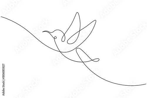 Bird couple continuous one line drawing minimalist outline vector illustration
