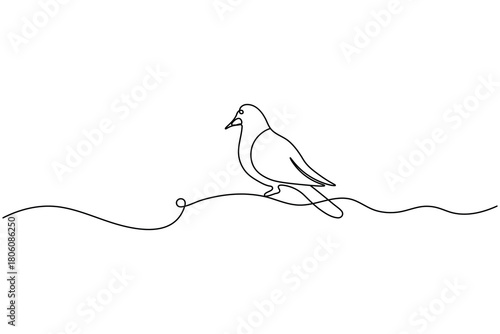 Bird couple continuous one line drawing minimalist outline vector illustration
