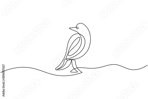 Bird couple continuous one line drawing minimalist outline vector illustration
