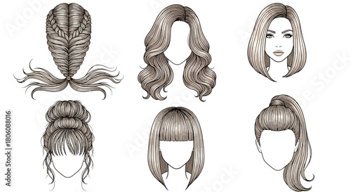 Diverse Hairstyle Illustrations Braids Waves Buns Bangs and Ponytail.