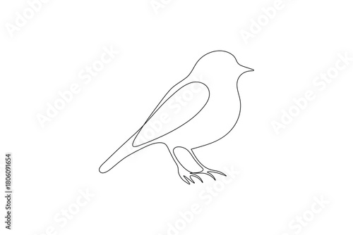 Bird couple continuous one line drawing minimalist outline vector illustration
