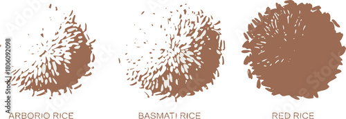 Arborio, Basmati, and Red Rice Grain Illustration on White Background