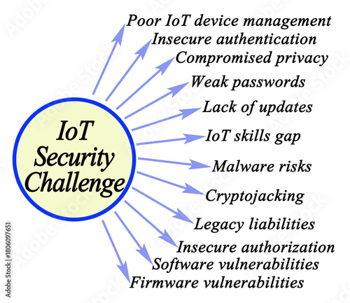 Twelve  IT Security Challenges