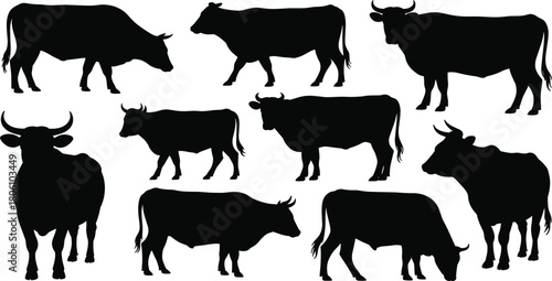 Cow silhouette illustration set, standing and walking poses, livestock icon, farm animal graphic, rural nature shape, domestic cattle