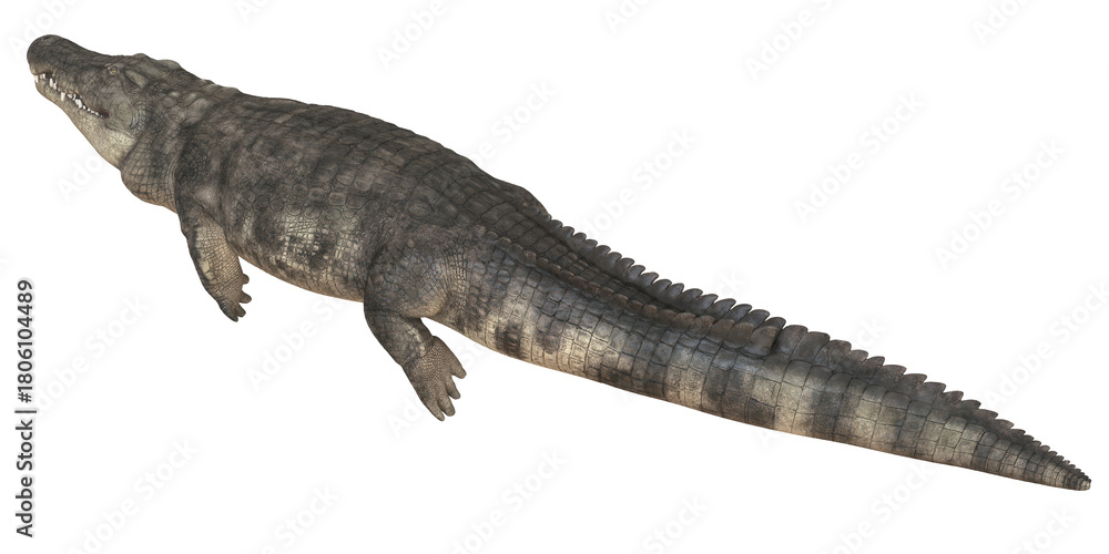 Naklejka premium Realistic 3D rendering of a crocodile on a white background.