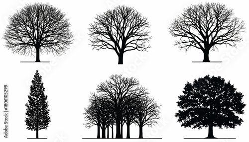A diverse assortment of tree silhouettes, featuring both bare winter branches and lush summer foliage, isolated as a vector set