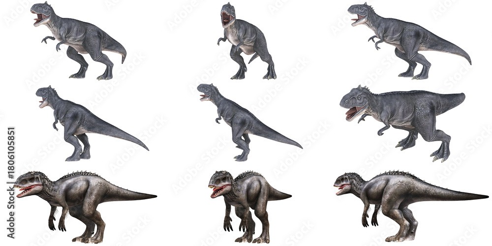 Obraz premium Set of various T-Rex dinosaur illustrations