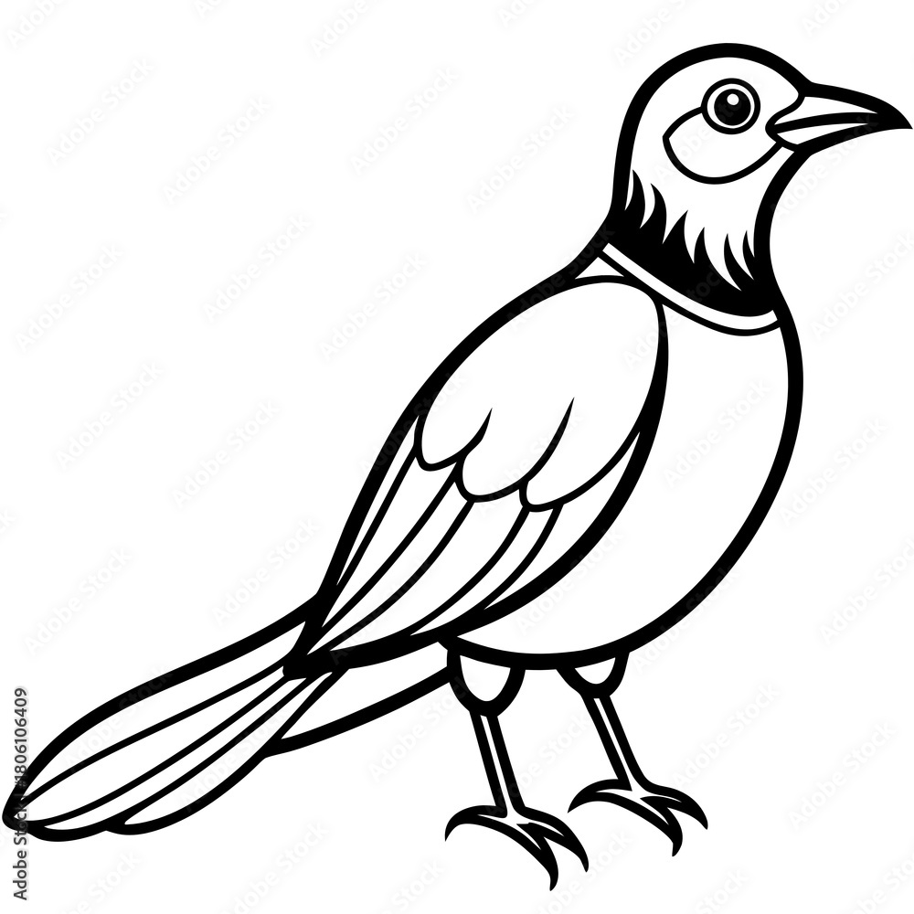 Fototapeta premium sketch of a bird