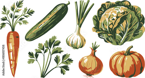 Illustrated Fresh Vegetables Carrot, Cucumber, Garlic, Parsley, Cabbage, Onion, and Pumpkin