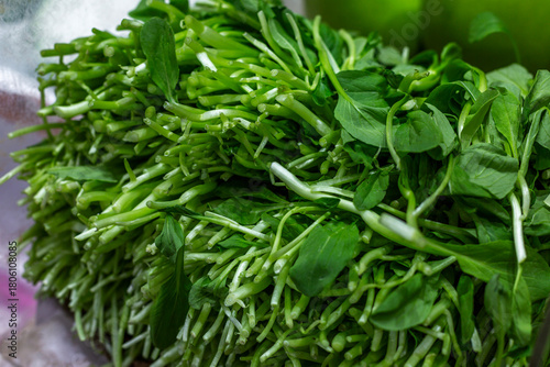 A bunch of fresh, juicy wild garlic at the market. Vitamins and natural nutrition. Close-up.