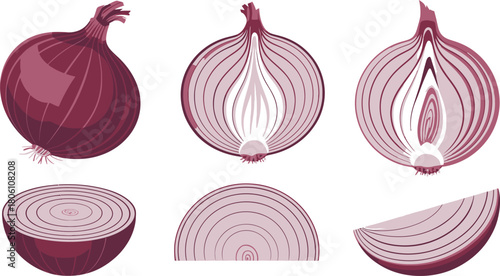 Illustration of a Whole and Various Sliced Red Onions Showing Layers on White Background
