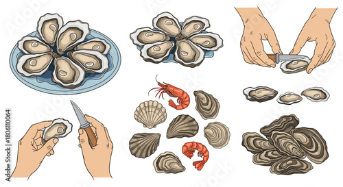 A collection of fresh oysters, shucked and whole, with hands demonstrating preparation, alongside other seafood varieties.