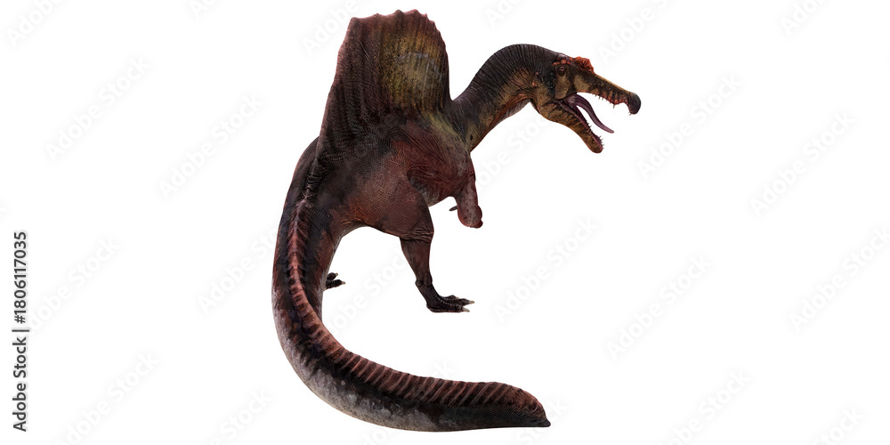 Fototapeta premium Majestic Spinosaurus on a white background