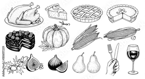 Thanksgiving harvest food illustration set