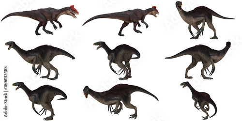 Collection of dinosaur illustrations in various poses
