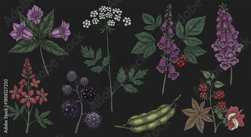 Seamless Pattern of Dark Wildflowers, Berries, and Foliage on a Black Background Vector Illustration