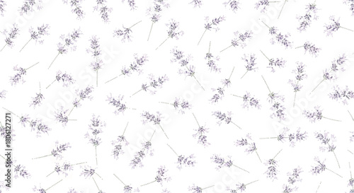 Delicate Scatter Seamless Lavender Pattern