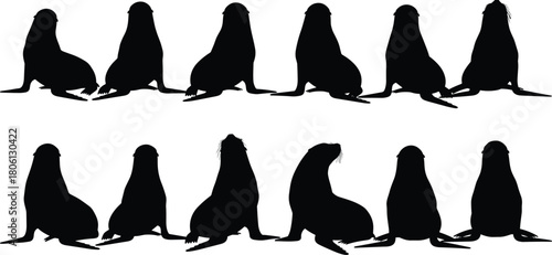 Sea lion silhouettes set, black seal vector illustration, ocean mammal collection, marine wildlife icon, aquatic animal poses, zoo creature, isolated on white background