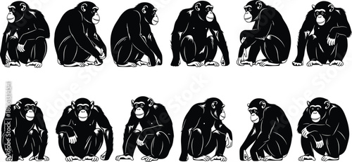Vector collection of black and white chimpanzee silhouettes in various sitting poses, wild animal ape illustration set isolated on white background