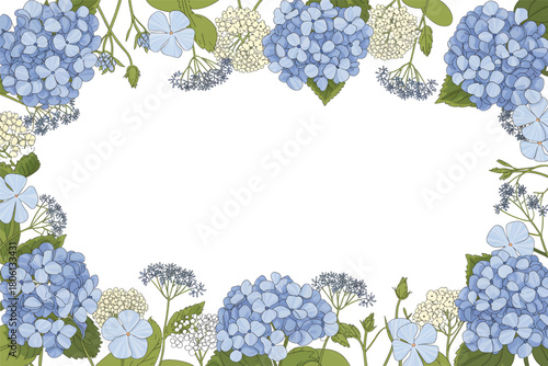 blue grape background