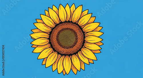 Bright Full Color Single Sunflower Head