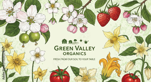 Organic Food and Spring Floral Frame with Strawberries, Cherry Blossoms, and Leaves for Green Valley Organics Label
