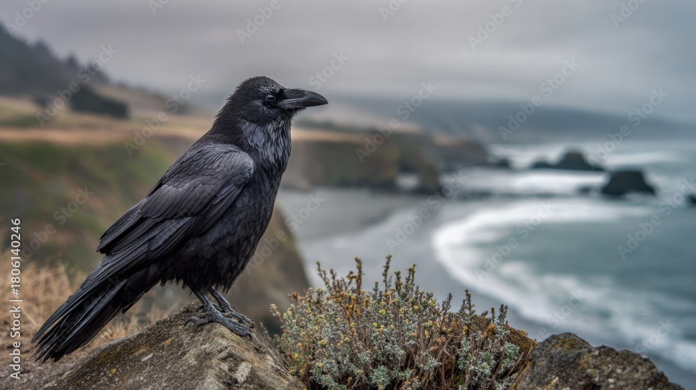 Obraz premium Dark raven perched on rocky cliff by the ocean, overlooking waves and coastline on a cloudy day