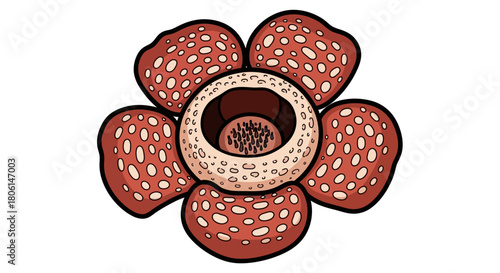 Illustration of a Rafflesia flower, featuring large, reddish-brown petals with white spots and a central opening.