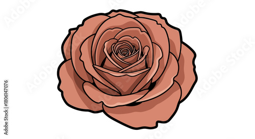 A close-up illustration of a detailed, blooming rose flower, isolated.