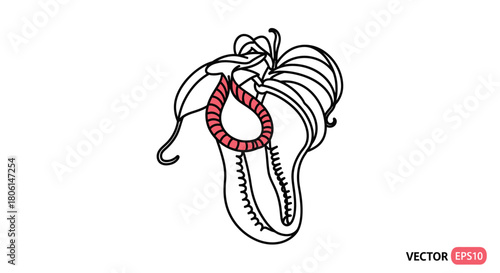 Detailed illustration of a pitcher plant, showing its trap and structure.