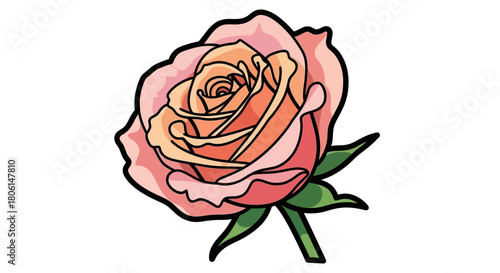 A detailed illustration of a blooming rose, showing delicate petals and green leaves.
