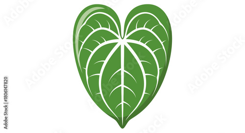 A stylized green leaf, shaped like a heart, with detailed veins and a clean white background.