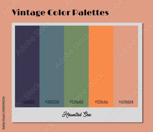 This highly functional vintage color palette complements curated illustrations for sophisticated brand usage.