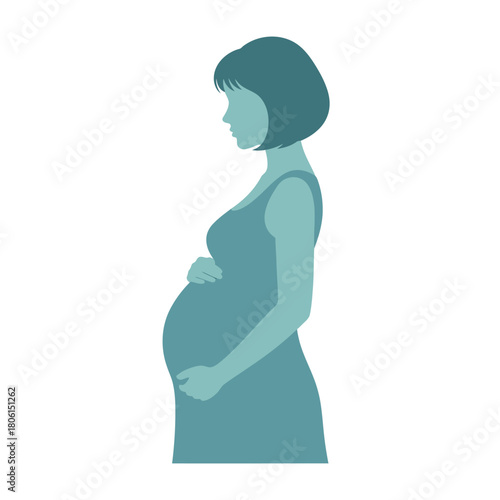 Silhouette of a Pregnant Woman in a Dress.