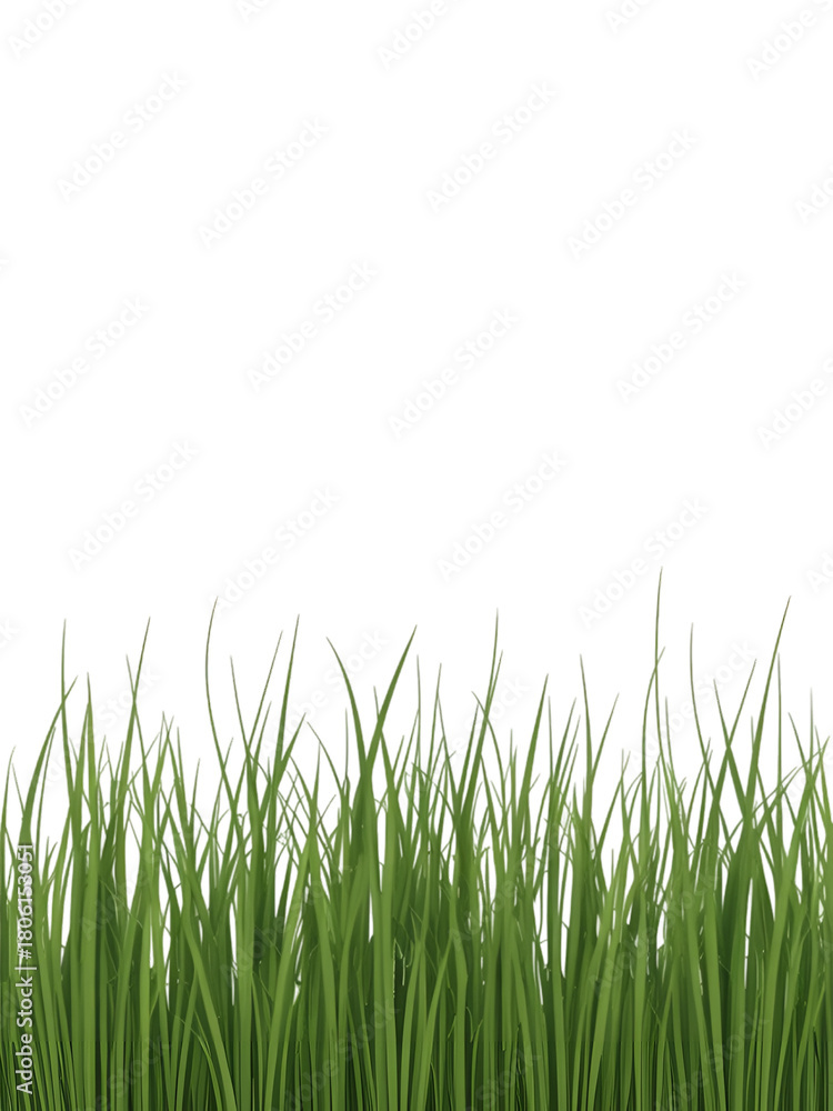 Fototapeta premium A simple image showcasing a strip of vibrant green grass against black
