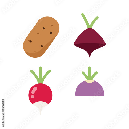 Colorful Flat Icons of Potato Beet Radish and Turnip Vegetables.