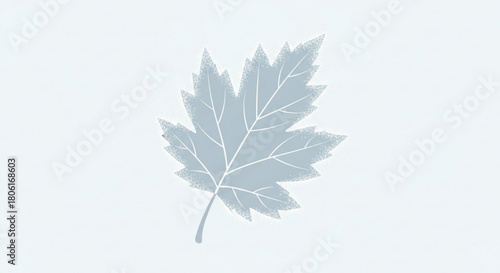 A delicate light blue maple leaf isolated on, showcasing its iconic shape and intricate vein patterns, perfect for minimalist designs
