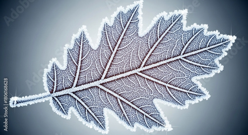 A single oak leaf covered in frost crystals, showcasing the intricate details of the veins and edges, creating a wintery and magical atmosphere