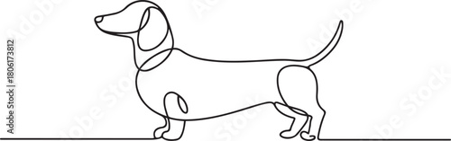 Dachshund dog continuous one line vector drawing. Single line art dachshund dog. one line Icon drawing with white background