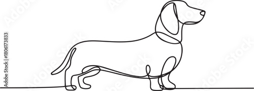 Dachshund dog continuous one line vector drawing. Single line art dachshund dog. one line Icon drawing with white background