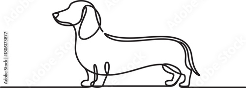 Dachshund dog continuous one line vector drawing. Single line art dachshund dog. one line Icon drawing with white background