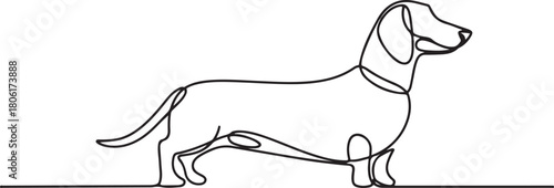 Dachshund dog continuous one line vector drawing. Single line art dachshund dog. one line Icon drawing with white background
