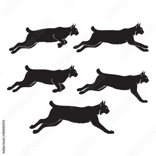 running bobcat silhouette, bobcat sprint vector pose, wild cat running outline, bobcat leaping silhouette, bobcat short tail running art, bobcat dynamic motion shadow, bobcat wildlife sprint figure, 