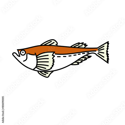 秋田の名物として知られるハタハタを横向きに描いたベクターイラスト｜白背景に独立した配置で特徴的な体形と色合いを丁寧に表現した海の生き物の素材